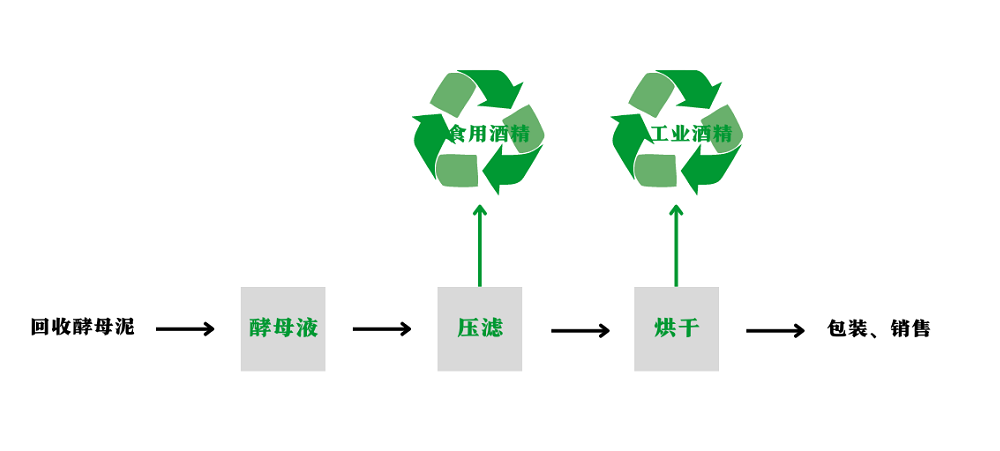 酵母回收